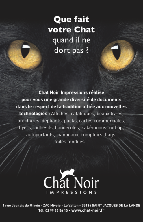 Chat Noir Impressions